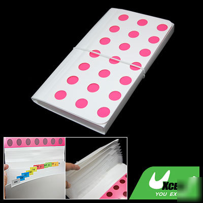 Water resistant plastic document file organizer holder