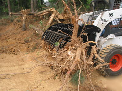 *** extreme root-brush&rock grapple ***