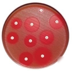 Bd bbl sensi-disc antimicrobial susceptibility test