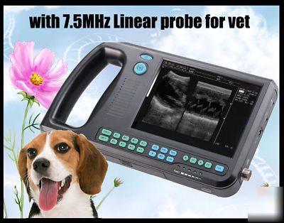 Digital palmsmart b-ultrasound uitrasound scanner vet