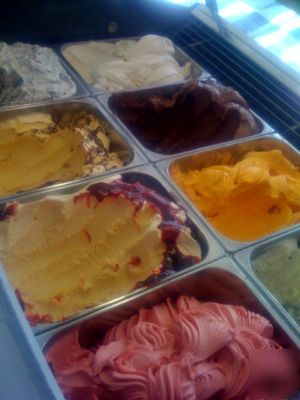 Carpigiani display case/batch freezer/pastuerizer/gelat