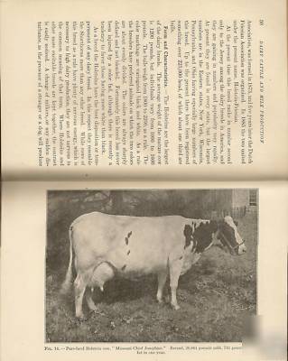 1920, hardcover book, dairy cattle & milk production