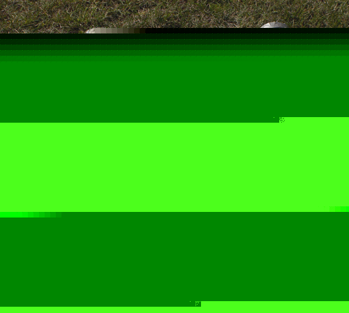 2 mogas valve with actuator model bd-1AS