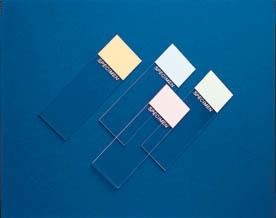 Vwr superfrost and colorfrost micro slides 7951