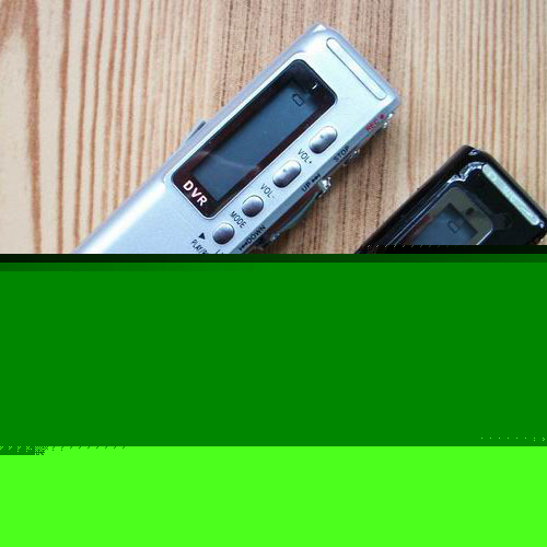 New 2GB digital voice recorder dictaphone voice mic MP3