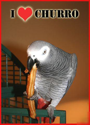 Churro mix special churro mix bag of 50 lbs