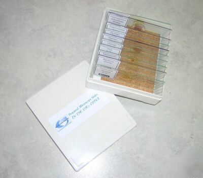 Microscope slides - in the dr's office 