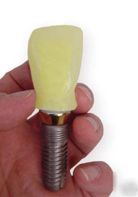 New giant xxl dental demo study model implant dentist 